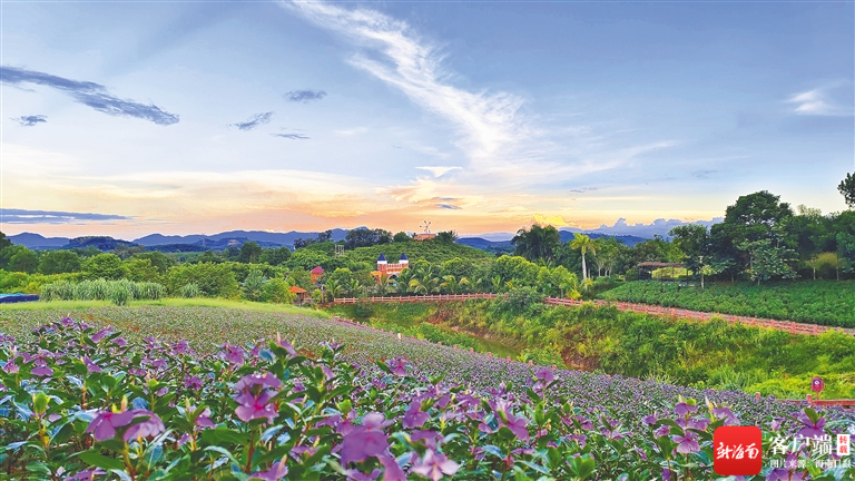 梦幻农庄区块链(区块链游戏梦幻农庄)