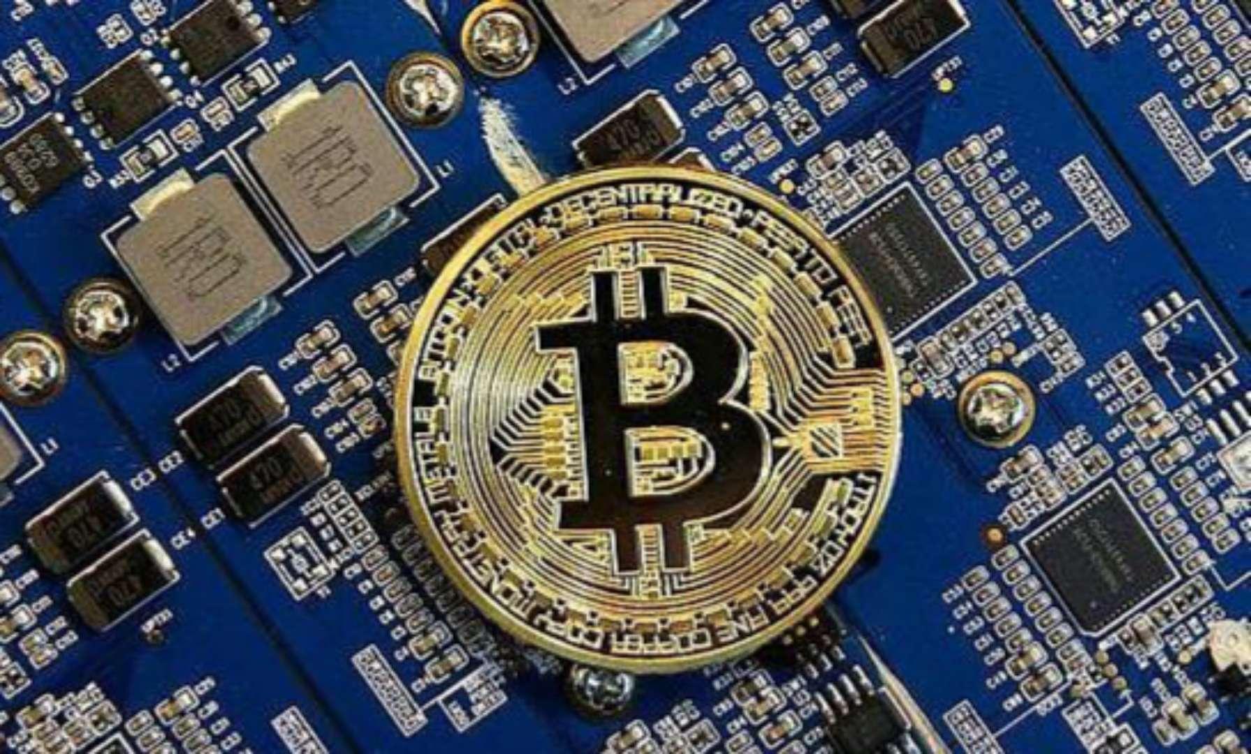 区块链金鸟巢(国内区块链公司前十排名)