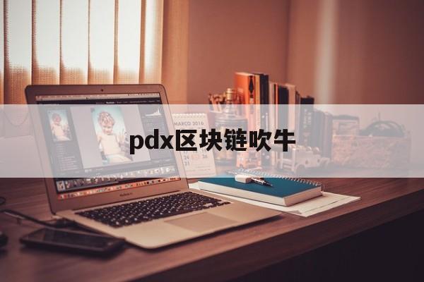 pdx区块链吹牛(国内正规的区块链平台)